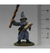 Wizard with Spell Book painted